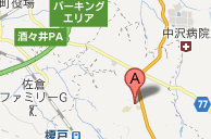 Google地図