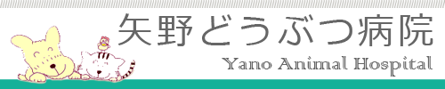 矢野どうぶつ病院